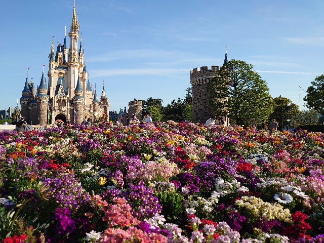 f:id:ndgnodekigoto:20210523211319j:image