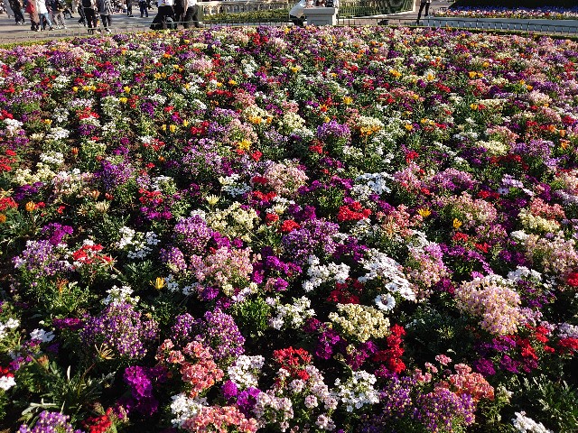 f:id:ndgnodekigoto:20210523211335j:image