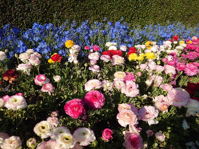 f:id:ndgnodekigoto:20210523211406j:image