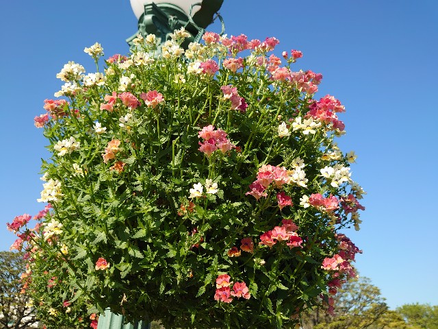 f:id:ndgnodekigoto:20210523211425j:image