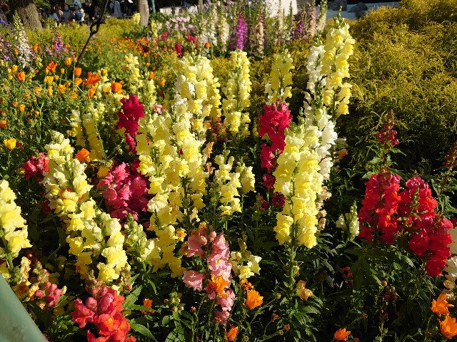 f:id:ndgnodekigoto:20210523211443j:image