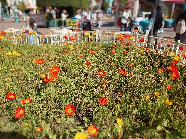 f:id:ndgnodekigoto:20210524000334j:image