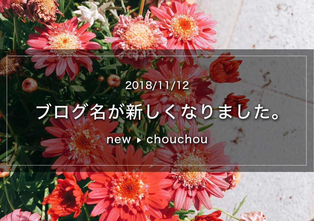 f:id:ne-ochi:20181112230426p:plain f:id:ne-ochi:20181112230426p:plain