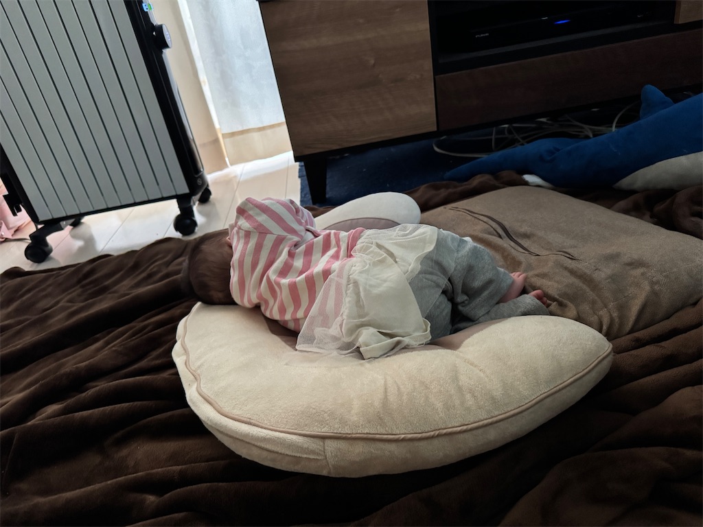 f:id:ne_mik:20250119050651j:image