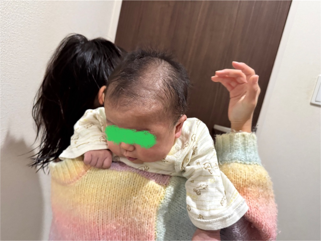 f:id:ne_mik:20250119144655j:image