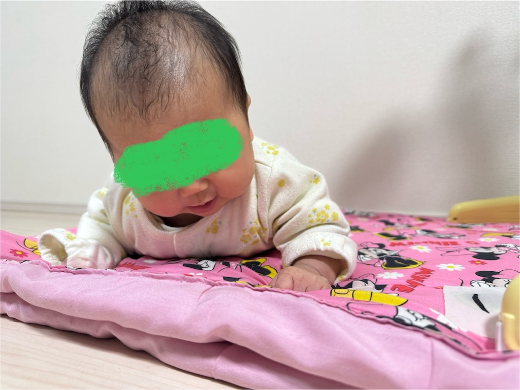 f:id:ne_mik:20250119144758j:image