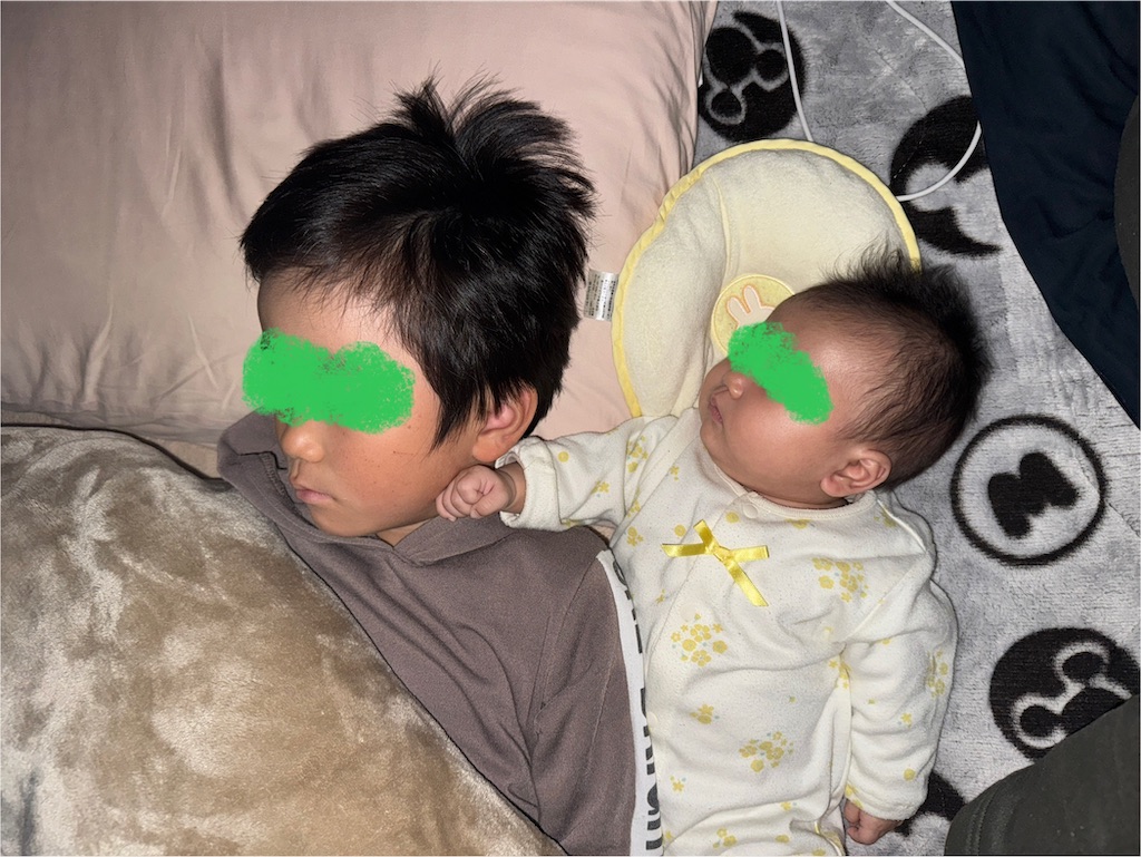 f:id:ne_mik:20250129135635j:image