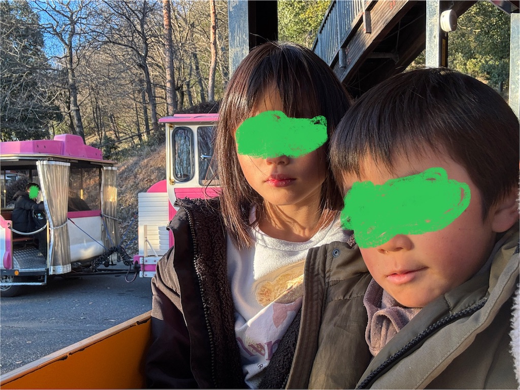 f:id:ne_mik:20250129223728j:image