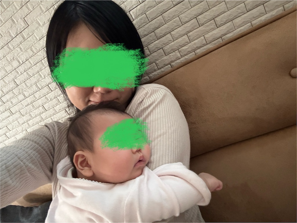 f:id:ne_mik:20250203111511j:image