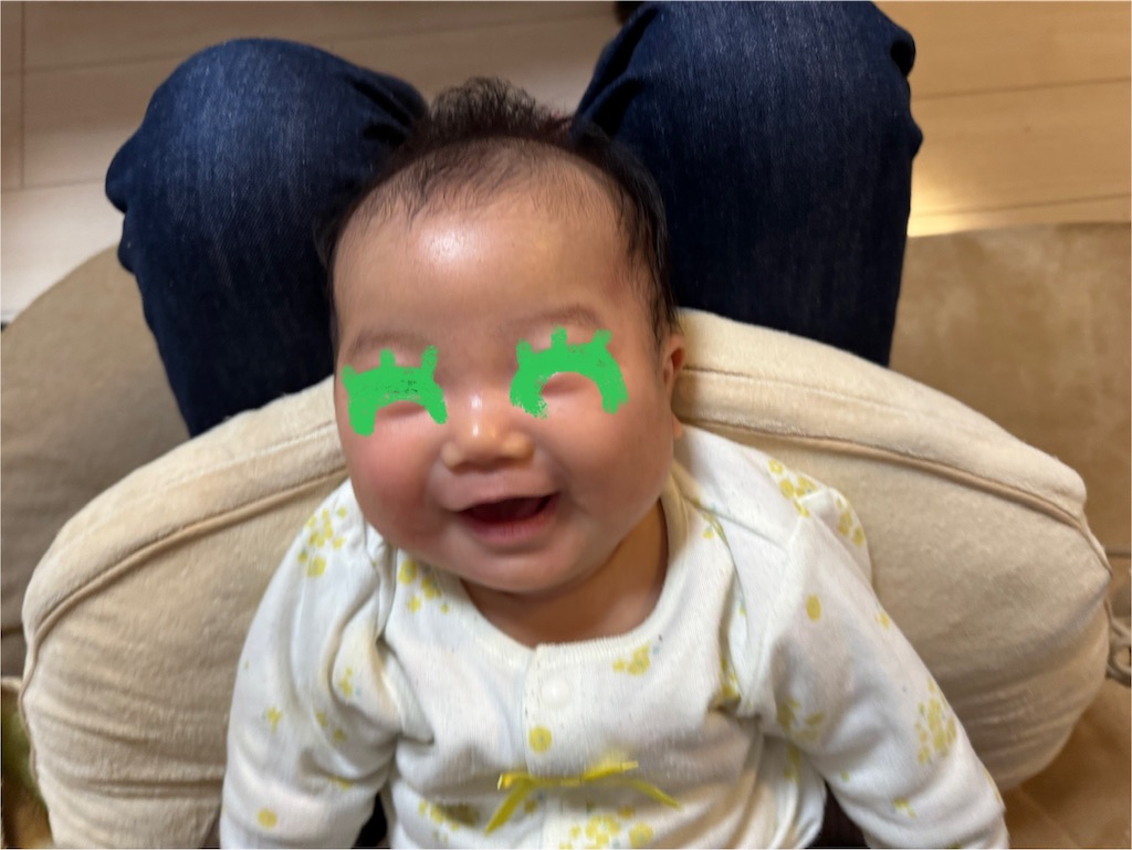 f:id:ne_mik:20250204102247j:image