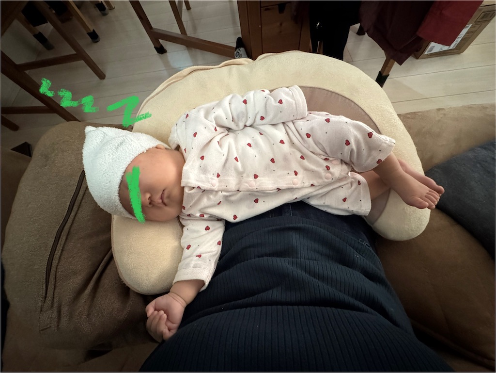 f:id:ne_mik:20250204103353j:image