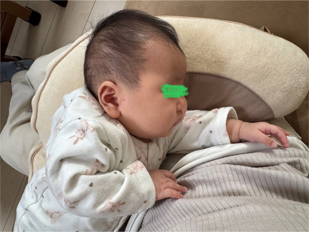 f:id:ne_mik:20250204103624j:image