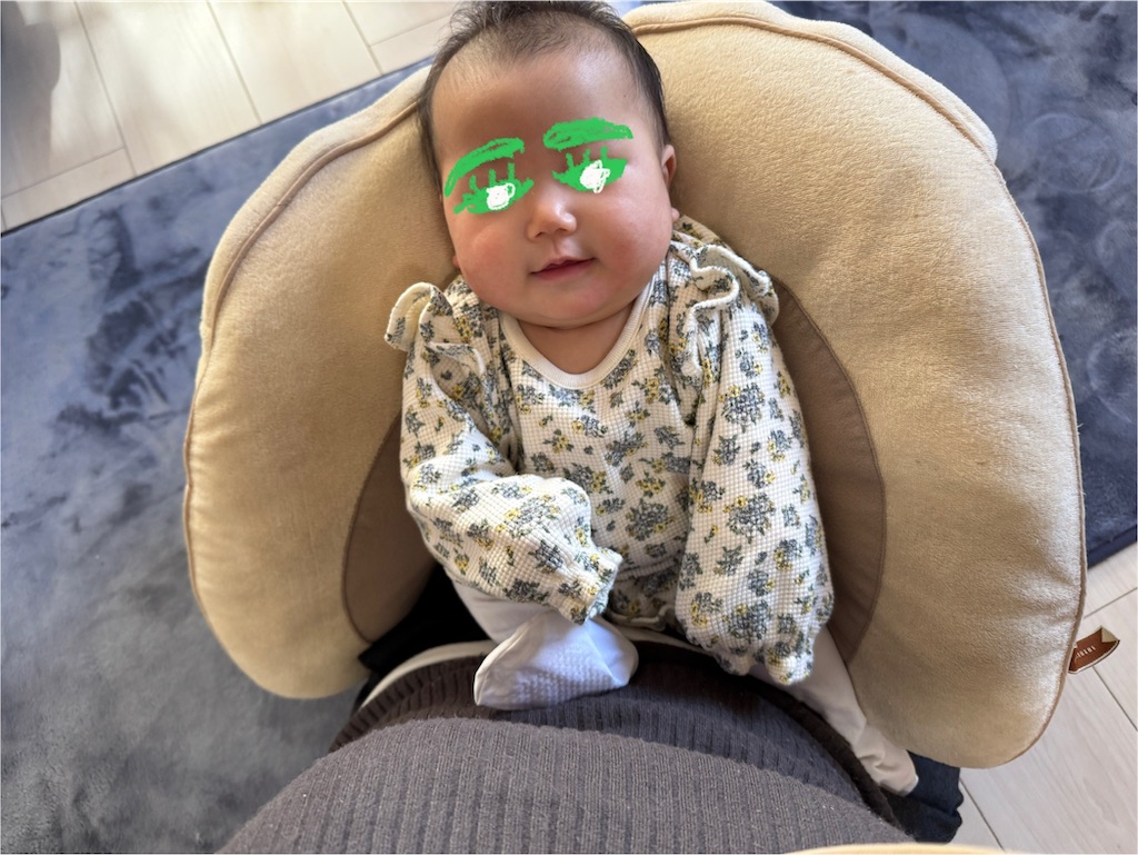 f:id:ne_mik:20250228091146j:image