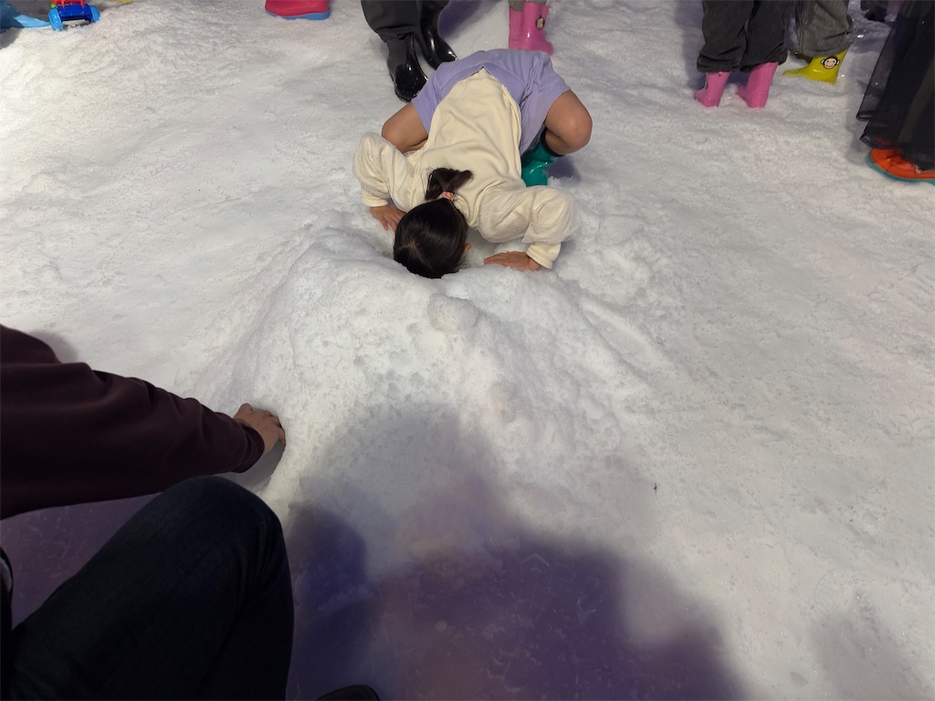 f:id:ne_mik:20250303110654j:image
