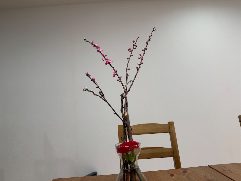 f:id:ne_mik:20250306102314j:image
