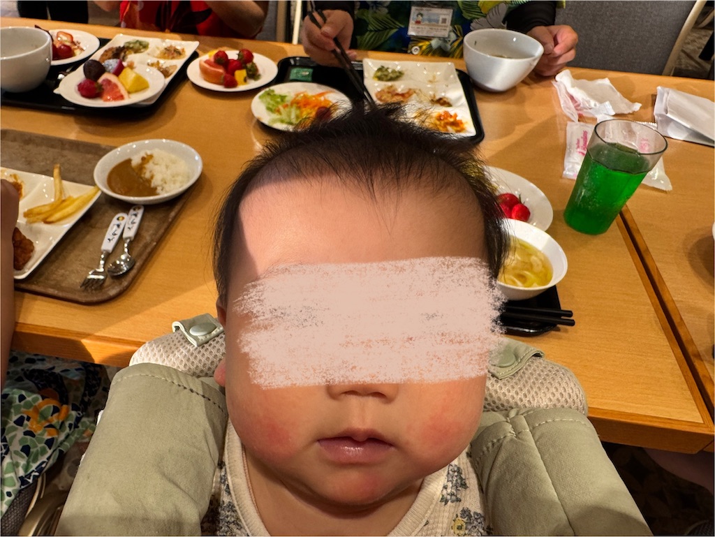 f:id:ne_mik:20250505110426j:image