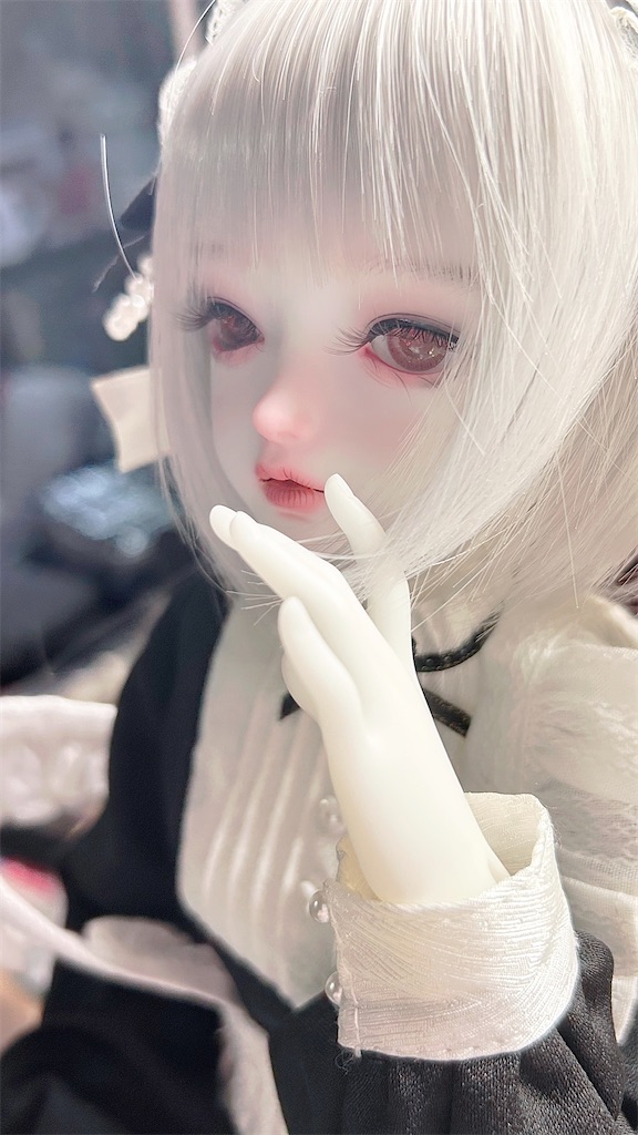 f:id:ne_muco:20260102171031j:image