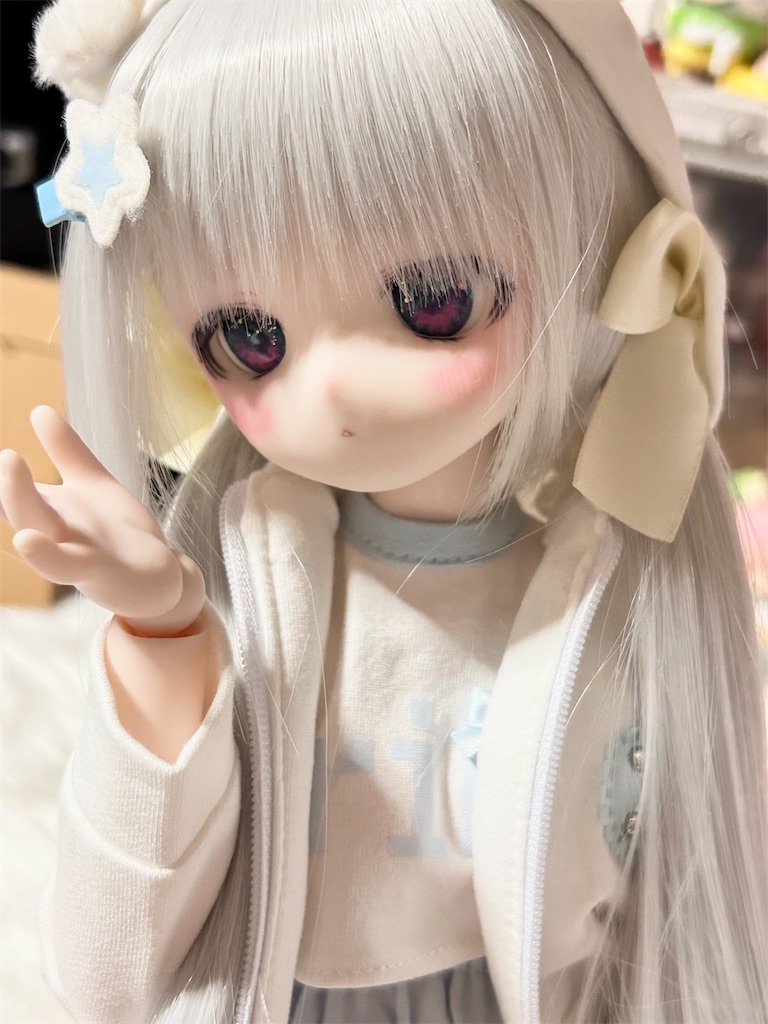 f:id:ne_muco:20260102172940j:image