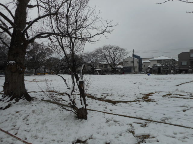 f:id:nebou-turibito:20190209161617j:plain