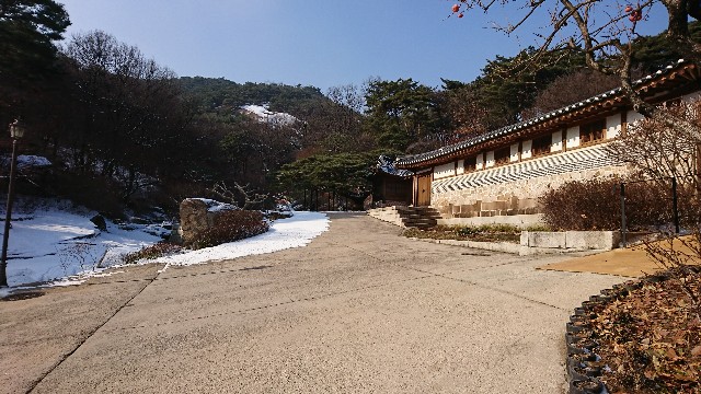 f:id:neco8smile:20190118120933j:plain f:id:neco8smile:20190118120933j:plain