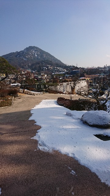 f:id:neco8smile:20190118121153j:plain f:id:neco8smile:20190118121153j:plain