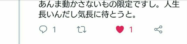 f:id:neco8smile:20190127164915j:plain f:id:neco8smile:20190127164915j:plain