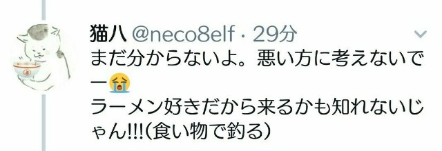 f:id:neco8smile:20190127170109j:plain f:id:neco8smile:20190127170109j:plain