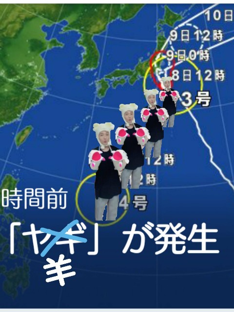 f:id:neco8smile:20190220111728j:plain f:id:neco8smile:20190220111728j:plain