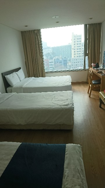 f:id:neco8smile:20190305101623j:plain f:id:neco8smile:20190305101623j:plain