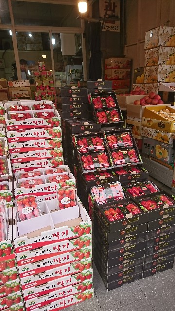 f:id:neco8smile:20190308184821j:plain f:id:neco8smile:20190308184821j:plain