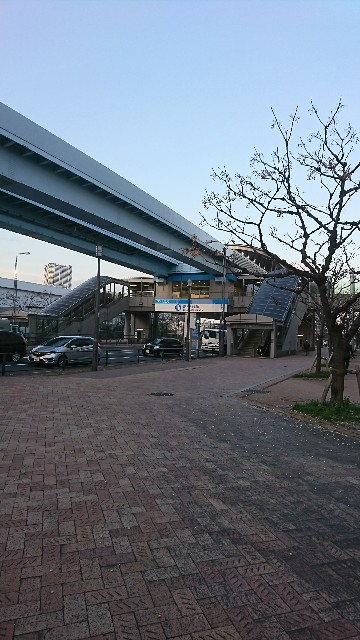 f:id:neco8smile:20190315165239j:plain f:id:neco8smile:20190315165239j:plain