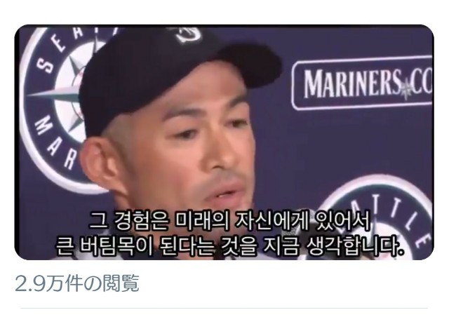 f:id:neco8smile:20190323204304j:plain f:id:neco8smile:20190323204304j:plain