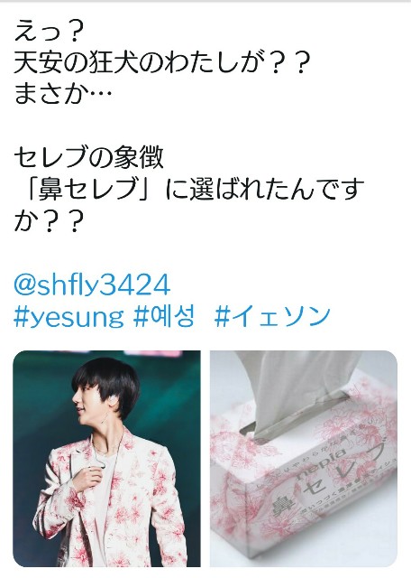 f:id:neco8smile:20190329190229j:plain f:id:neco8smile:20190329190229j:plain