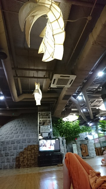 f:id:neco8smile:20190510201021j:plain f:id:neco8smile:20190510201021j:plain
