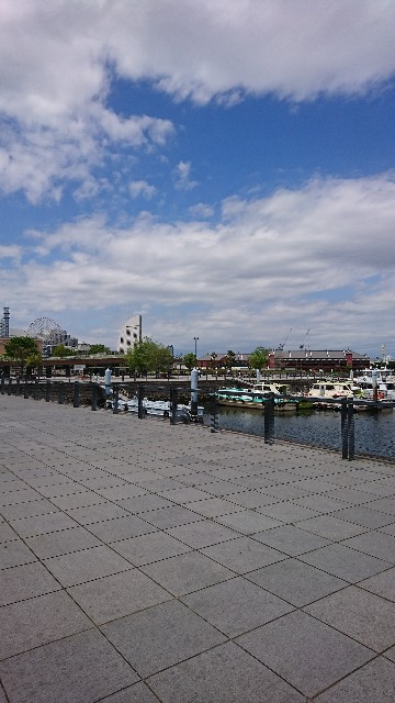 f:id:neco8smile:20190514143220j:plain f:id:neco8smile:20190514143220j:plain