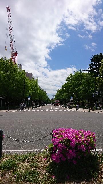 f:id:neco8smile:20190514150526j:plain f:id:neco8smile:20190514150526j:plain