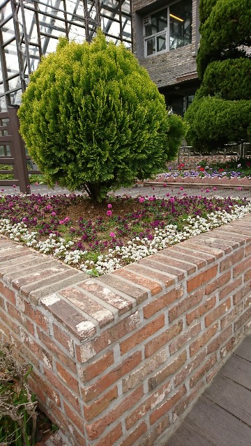 f:id:neco8smile:20190518180702j:plain f:id:neco8smile:20190518180702j:plain