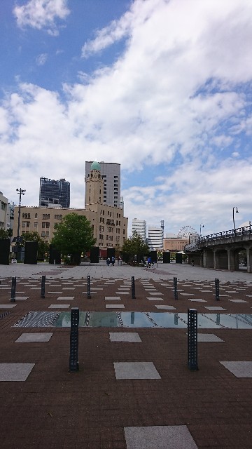 f:id:neco8smile:20190520162703j:plain f:id:neco8smile:20190520162703j:plain