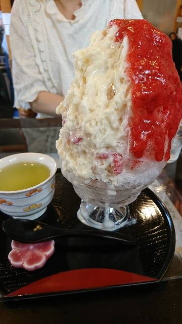 f:id:neco8smile:20190525162314j:plain f:id:neco8smile:20190525162314j:plain