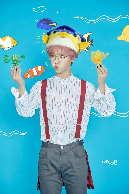 f:id:neco8smile:20190614215838j:plain f:id:neco8smile:20190614215838j:plain