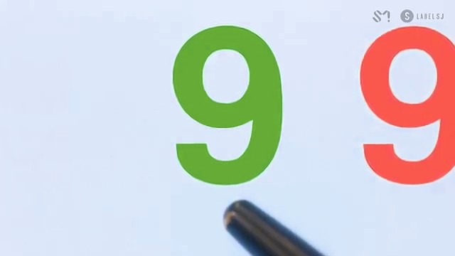 f:id:neco8smile:20190619115252j:plain f:id:neco8smile:20190619115252j:plain