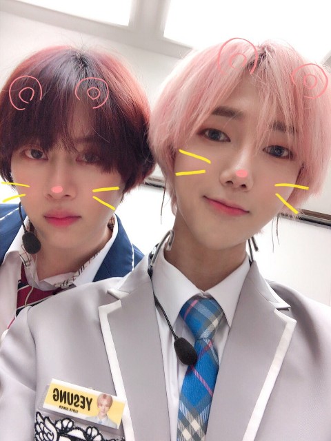 f:id:neco8smile:20190622100807j:plain f:id:neco8smile:20190622100807j:plain