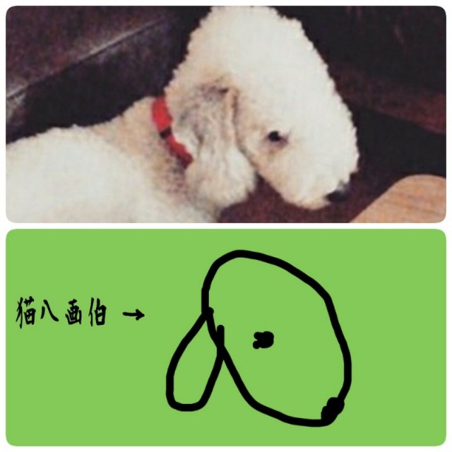 f:id:neco8smile:20190627153014j:plain f:id:neco8smile:20190627153014j:plain