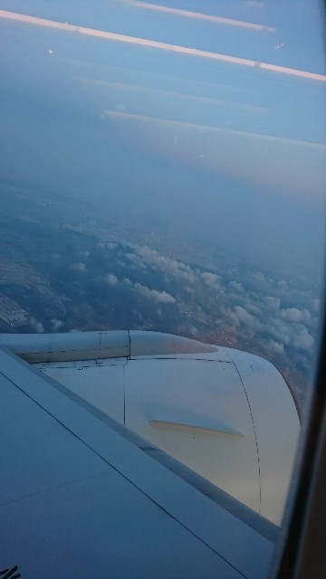 f:id:neco8smile:20190703152439j:plain f:id:neco8smile:20190703152439j:plain