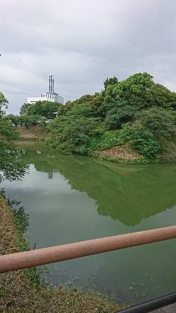 f:id:neco8smile:20190724124930j:plain f:id:neco8smile:20190724124930j:plain