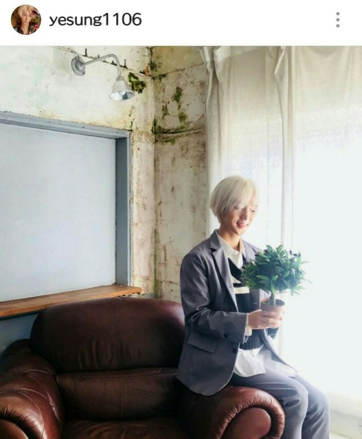 f:id:neco8smile:20190725210649j:plain f:id:neco8smile:20190725210649j:plain