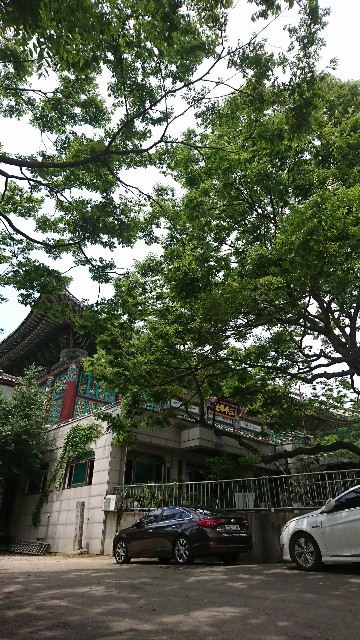 f:id:neco8smile:20190727082511j:plain f:id:neco8smile:20190727082511j:plain