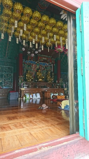 f:id:neco8smile:20190727082645j:plain f:id:neco8smile:20190727082645j:plain