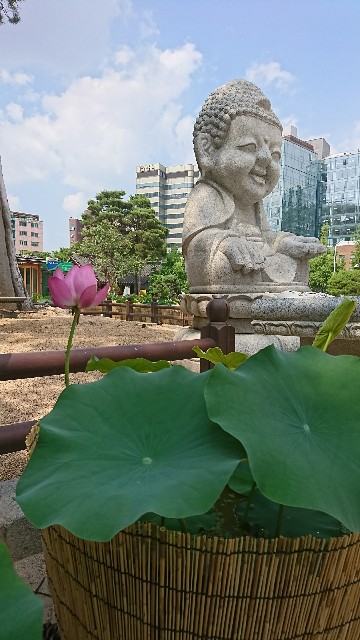 f:id:neco8smile:20190727090449j:plain f:id:neco8smile:20190727090449j:plain