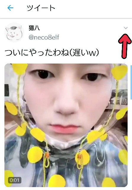 f:id:neco8smile:20190828085743j:plain f:id:neco8smile:20190828085743j:plain